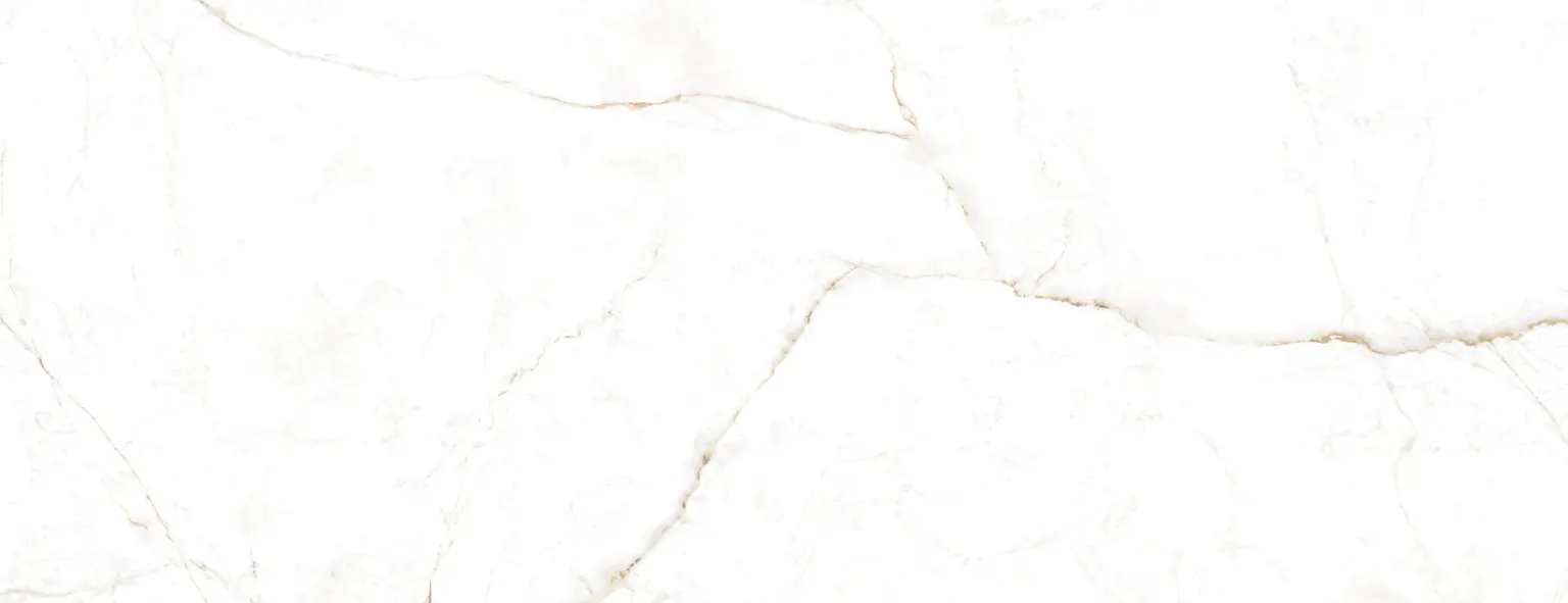 38744_DUAL_WHITE_100X275_P_4_SZ1